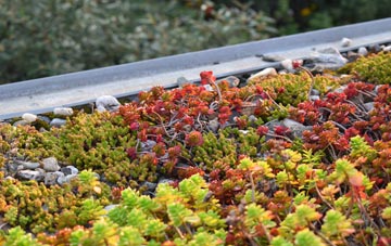the cost of Allonby green roof installation