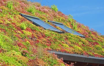 Allonby living roof systems