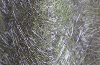 Allonby fibreglass roof work